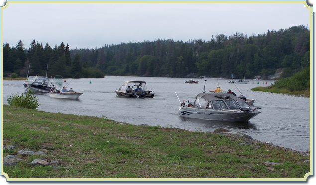 Wawa Salmon Derby Picture