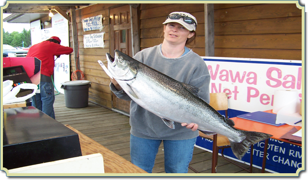 Wawa Salmon Derby Picture